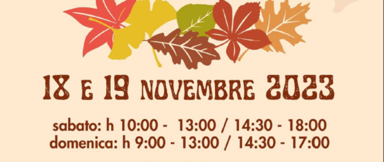 workshop d'autunno